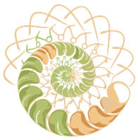 Logo Ecophora – artisanat bois, habitat léger et mobilier durable inspirés par la nature.